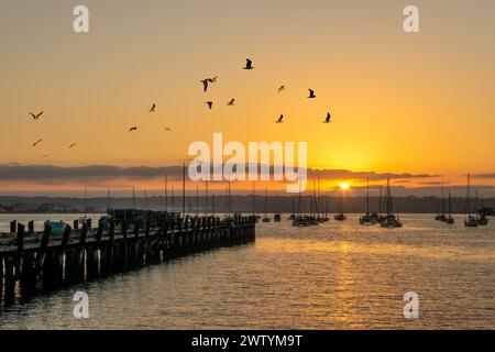 Old pier, seagulls and boats at sunset in the harbor of San Diego, California Stock Photo