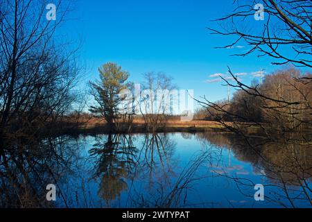 Idyllic scene view at small pond in Davidson's Mill Pond Park, South Brunswick, New Jersey, USA, in late winter -07 Stock Photo