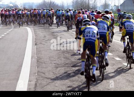 De Panne, Belgium. 20th Mar, 2024. The pack of riders pictured in action during the 'Classic Brugge-De Panne' men's elite one-day cycling race, 198, 9 km from Brugge to De Panne, Wednesday 20 March 2024. BELGA PHOTO LAURIE DIEFFEMBACQ Credit: Belga News Agency/Alamy Live News Stock Photo