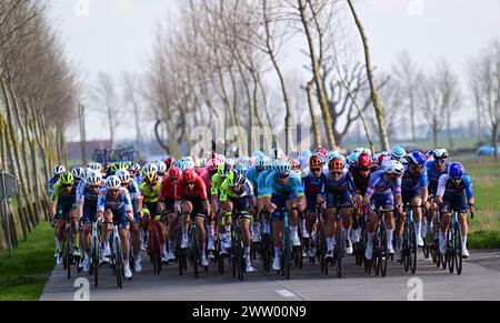 De Panne, Belgium. 20th Mar, 2024. The pack of riders pictured in action during the 'Classic Brugge-De Panne' men's elite one-day cycling race, 198, 9 km from Brugge to De Panne, Wednesday 20 March 2024. BELGA PHOTO LAURIE DIEFFEMBACQ Credit: Belga News Agency/Alamy Live News Stock Photo