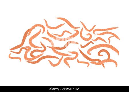 Earthworms on white background. Soil earthworms, garden ground insects, fishing or helminthic disease concept. Pink worms set. Vector illustration Stock Vector