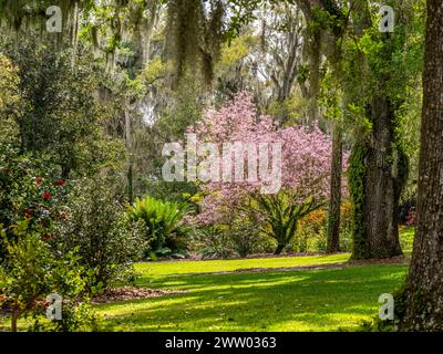 Bok Tower Gardens is a National Historic Landmark on the National Register of Historic Places atop Iron Mointain in Lake Wales Florida USA Stock Photo