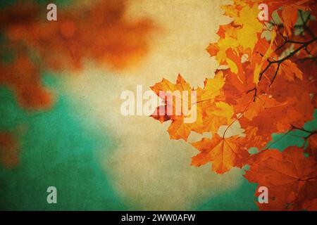 Autumn leaves over old paper. Perfect grunge fall background. Stock Photo