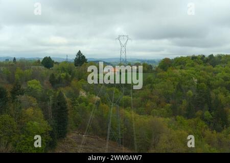 A high-voltage power line passing through a forest plantation. Stock Photo