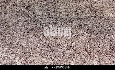 Texture of the dry grass roof background. Stock Photo
