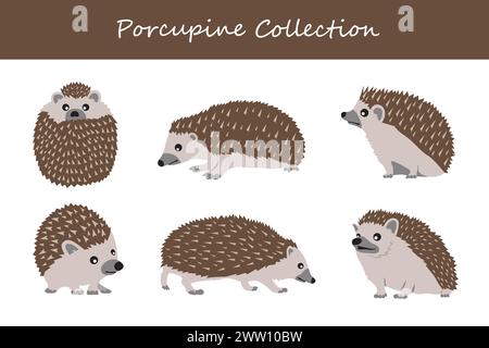 porcupine collection. Vector illustration. Isolated on white background. Stock Vector