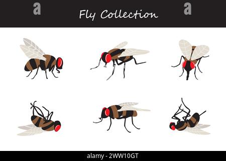 fly collection. Vector illustration. Isolated on white background. Stock Vector