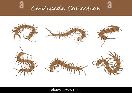 centipede collection. Vector illustration. Isolated on white background. Stock Vector