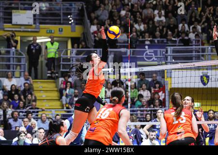 Turin, Italy. 20th Mar, 2024. ab during Reale Mutua Fenera Chieri vs Viteos Neuchatel, Volleyball CEV Cup Women match in Turin, Italy, March 20 2024 Credit: Independent Photo Agency/Alamy Live News Stock Photo