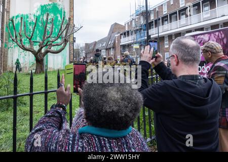 London, UK. 19th March, 2024. Members of the public take photographs of new artwork by world-renowned street artist Banksy which had appeared the previous day on the side of a residential building behind a tree located in the garden of a social housing block in Finsbury Park. The artwork, claimed by the street artist, takes the form of green paint sprayed onto a wall behind a pollarded cherry tree so as to appear like foliage when viewed from the front, together with a stencil of a woman holding a pressure washer. The shade of green paint used appears to match that used by Islington Council fo Stock Photo