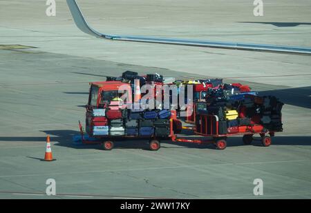 Airport baggage trailer transporting suitcases between the airport terminal and the plane Stock Photo