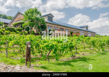 Bully Hill Vineyards. Keuka Lake Wine Trail. Hammondsport,New York. Stock Photo