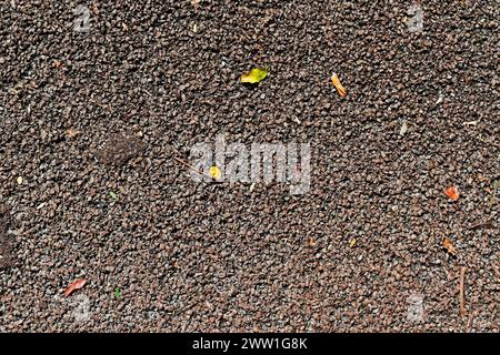 Stone floor on public park Stock Photo