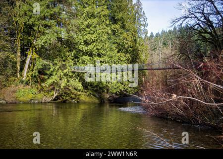 Photo of the suspension bridge hanging over the Koksilah River in Bright Angel Regional Park. Stock Photo