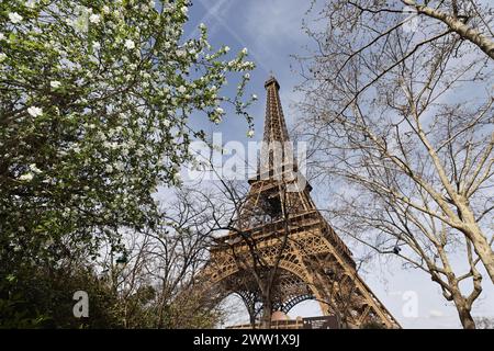 Paris, France. 20th Mar, 2024. Trees bloom at the Champ de Mars near the Eiffel Tower in Paris, France, March 20, 2024. Credit: Gao Jing/Xinhua/Alamy Live News Stock Photo