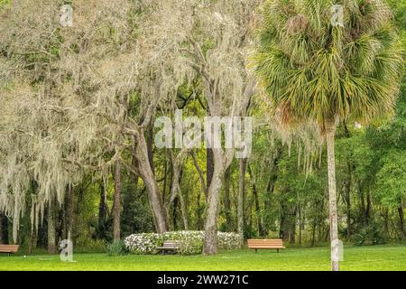 Benches surrounding a gravesite area at Florida National Cemetery, a cemetery for United States military veterans, in Bushnell, Florida. (USA) Stock Photo