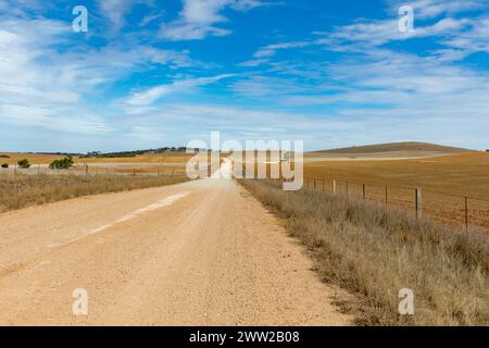 Australian farming landscape, near small settlement of Dutton in South Australia, road through farming wheat land on very hot autumn day. Stock Photo