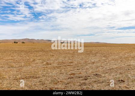 Australian landscape near Dutton in South Australia, farming land for growing wheat and grains, dry landscape in autumn heatwave, South Australia Stock Photo