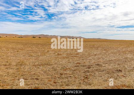 Australian landscape near Dutton in South Australia, farming land for growing wheat and grains, dry landscape in autumn heatwave, South Australia Stock Photo