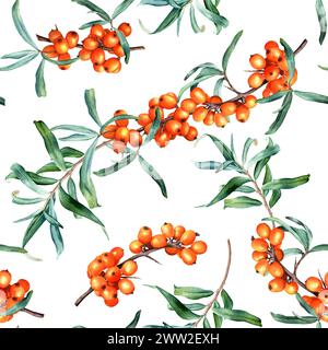 Watercolor botanical seamless pattern with plant sea buckthorn branches. Illustration on isolated background. Stock Photo