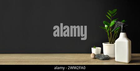 Succulents in white pot and water sprayer on wooden table. Preparation to water and fertilize plants. Dark background Stock Photo