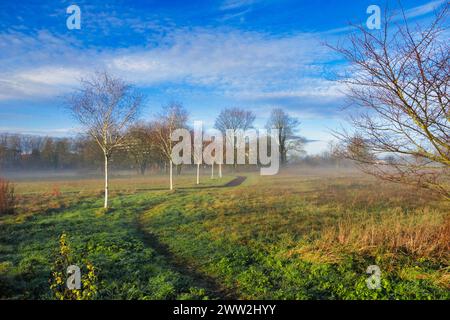 Dirt road in Spa Park, Bad Krozingen, Germany, cutting through vast field Stock Photo