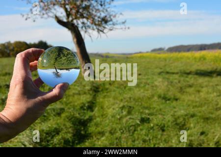 Human hand holds a glass ball in which a tree is reflected in green nature, with a blurred background Stock Photo