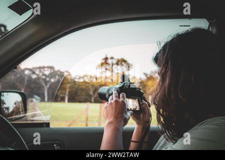 View over the shoulder of a photographer capturing nature's beauty from within a vehicle. Stock Photo