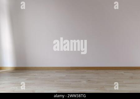 Painted wall in a trendy color with sunlight from the window on the left and wooden floor, empty space, mockup for design Stock Photo