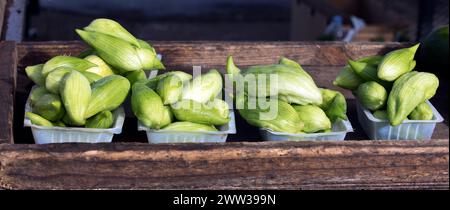 View of caigua sold at market in France Stock Photo