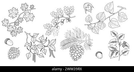 Set of branches with leaves. Maple, oak, linden, hazelnut, birch betula branch with leaves, pine cones. Vector illustration Stock Vector