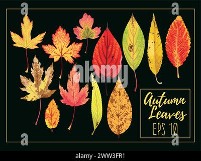 Set of autumn leaves in black and white outline. Coloring. Doodle style ...