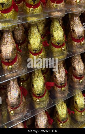 Display in shelf of wholesale of chocolate Easter bunnies Easter bunnies in multicoloured chocolate staniol paper offered in plastic tagere, Germany Stock Photo