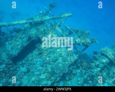 Wreck of the Giannis D., Red Sea, Egypt Stock Photo