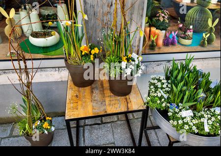 Spring awakening, flower shop with Easter decoration, Kempten, Allgaeu, Bavaria, Germany Stock Photo