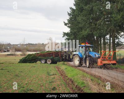 A blue tractor with a red forest mulcher attachment Stock Photo