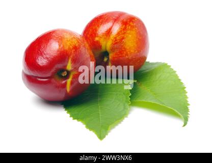 Nectarines on white background Stock Photo