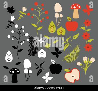 Set of natural elements. Collection of plants and insects Stock Vector