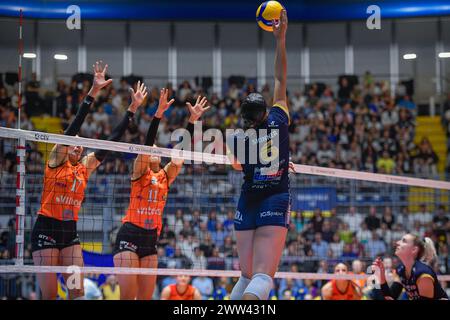 Turin, Italy. 10th Jan, 2024. Final CEV Volleyball Cup 2024 Women Reale Mutua Fenera Chieri '76 (ITA) - Viteos Neuchatel UC (SUI) 3-1 Pala Gianni Asti Turin Avery Skinner 6 (Chieri'76) in action during Final CEV Champions League match between Reale Mutua Fenera Chieri '76 and Viteos Neuchatel UC at Pala Gianni Asti in Turin, Italy 20 March 2024 (Photo by Tonello Abozzi/Pacific Press) Credit: Pacific Press Media Production Corp./Alamy Live News Stock Photo