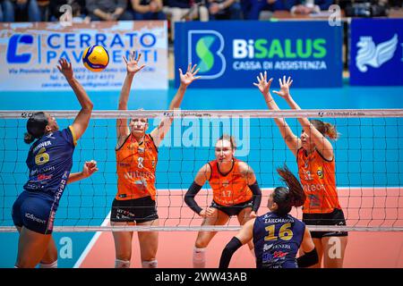 Turin, Italy. 10th Jan, 2024. Final CEV Volleyball Cup 2024 Women Reale Mutua Fenera Chieri '76 (ITA) - Viteos Neuchatel UC (SUI) 3-1 Pala Gianni Asti Turin Avery Skinner 6 (Chieri'76) in action during Final CEV Champions League match between Reale Mutua Fenera Chieri '76 and Viteos Neuchatel UC at Pala Gianni Asti in Turin, Italy 20 March 2024 (Photo by Tonello Abozzi/Pacific Press) Credit: Pacific Press Media Production Corp./Alamy Live News Stock Photo