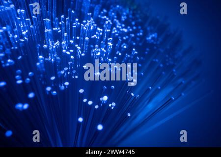 Conceptual multicolored image with short focal length fiber optic network cable for fast communication. macro. Stock Photo