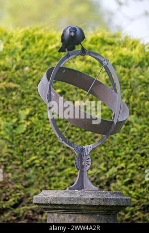 A Western jackdaw (Coloeus monedula) on the top of an armillary garden sphere garden ornament, Berkshire, May Stock Photo