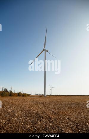 Windmill in a field to produce electricity from the wind on a sunny day. Wind power plant. Green ecological energy. Wind power. Green energy concept. Stock Photo