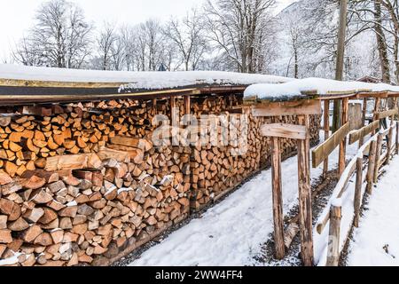 Stacked pile of firewood at winter time Stock Photo