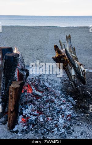 Los típicos espetos de la costa malagueña, el pescado fresco se ensarta en largas cañas y se asa a la perfección sobre brasas en la playa. Estepona Stock Photo