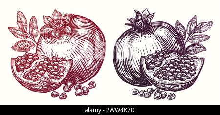 Pomegranate drawing. Hand drawn tropical fruit. Food sketch vector illustration Stock Vector