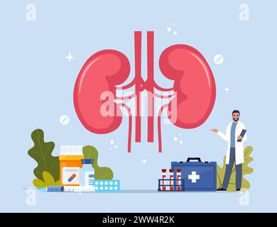 Human kidneys. Inner organs disease treatment. Modern design concept with tiny doctor character, medical drugs, equipment, analysis. Vector Illustrati Stock Vector