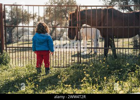 A young girl stands in front of a fence, watching a horse Stock Photo
