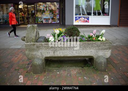 Cattle trough now a planter in the High Street, Rayleigh, Essex Stock Photo