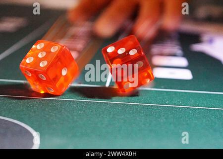 two decies flying over a table Stock Photo